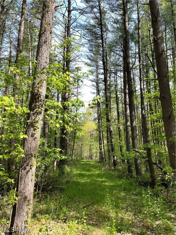 Connecticut Western Reserve - Land