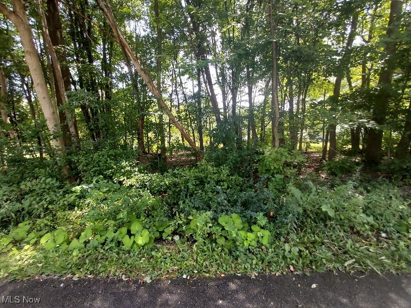 Lundys Lane #LOT 1253, Lake Milton, Ohio image 1