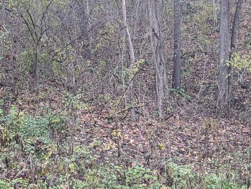 This 6.129 acre tracts offers multiple uses - possible homesite, hunting, and recreation.  Located in Clayton Township (no zoning) this property conveys with no restrictions.  Public water tap is available for purchase and electric is available at the road.  Easy access to State Route 345 or 669.  This area offers easy access to the Perry State Forest and the APV area.