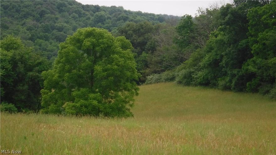 Mostly open hilltop 27 acres of land with small wooded sections next to ODNR Woodbury Wildlife, Coshocton County. Includes water run-off pond surrounded by small group of trees. Land consists of established grassland, wooded ravines and is loaded with deer bedding areas. Beautiful hilltop views in all directions make this private setting a fantastic building site/camper recreational property. Just 10 minutes from Warsaw and 15 minutes from Coshocton. Mineral rights are reserved.