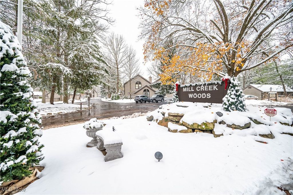 Photo of 1173 Red Tail Hawk Court #5, Youngstown, OH 44512 (MLS # 5175353)