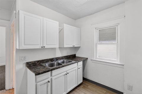 Tiny photo for 3467 E 125th Street, Cleveland, OH 44120 (MLS # 5179090)