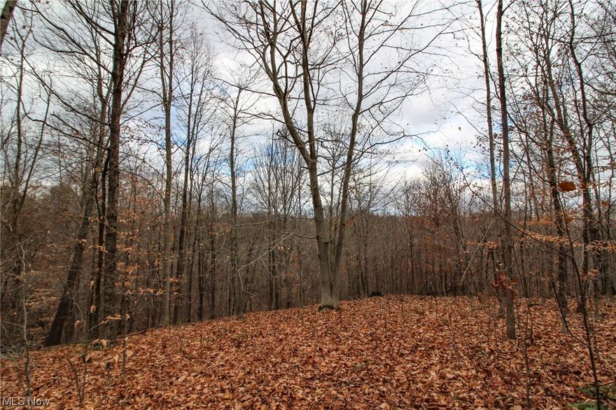 PROPERTY CURRENTLY BEING HUNTED! Land for sale in Muskingum County, Ohio. Hunting or building tract in southern Muskingum County. The seller has this property set up and ready to hunt! This area can produce some good whitetail bucks and plenty of wild turkeys! There is a nice level open area closer to the road that would be great for a cabin or new home. Franklin Local School District. Any mineral rights owned by seller to transfer to the buyer. Annual taxes are approximately $356.64.