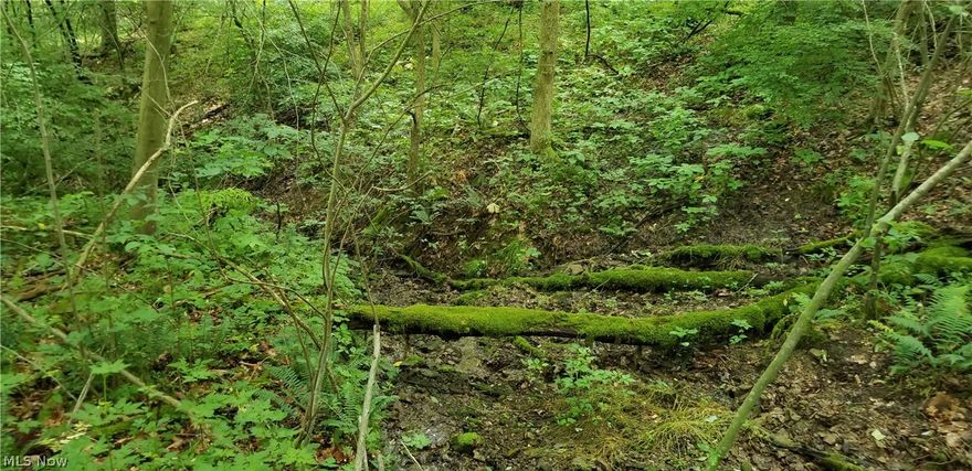 Located only minutes from I-77 in north-central Guernsey County this open and wooded land has a lot to offer. Currently the property is mostly in pasture and could accommodate a herd of beef cows or horses but could be turned into some excellent tillable ground. The remainder of the property is wooded and offers excellent deer and turkey hunting opportunity. Lots of wildlife sign was apparent as well as ample bedding area and water sources. The woods has some harvestable timber and would provide for some immediate income if needed. Both parcels offer a good amount of open and wooded land respectively. Parcel 1 also offers a solid 50’ X 80’ pole building with 3 horse stalls, and a good driveway that is already in place