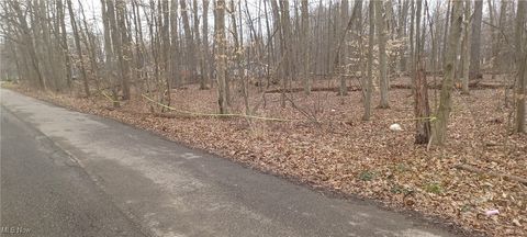 Vacant Land For Sale - Idylwild Avenue<br/> Lake Milton, OH 44429