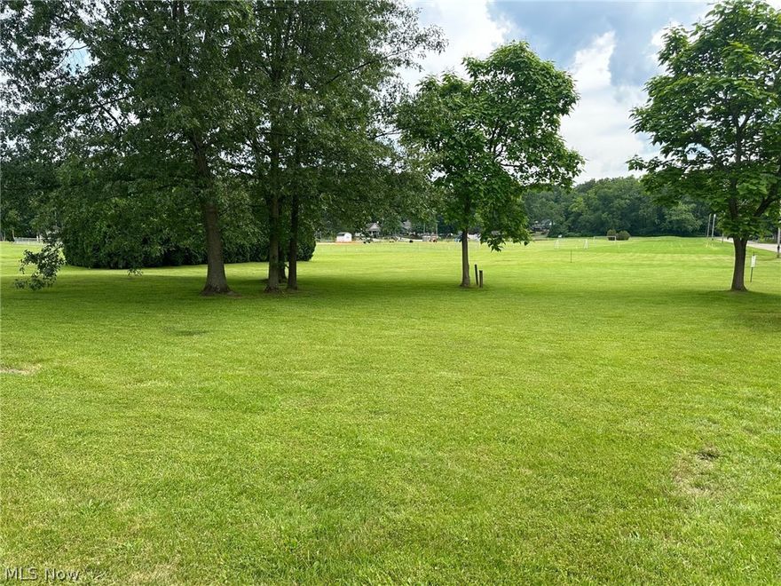 .50 (1/2) acre Corner Lot in Brady Lake Village.  Kent City Schools.  Public Sewer available but will require a well.  Public utilities are available at the street.  Zoned R-1/C-1 Mixed Low Density Residential/Commerical.  Zoning definitions are in supplements.  Would make a great ice cream and hot dog stand! Call for additional questions.