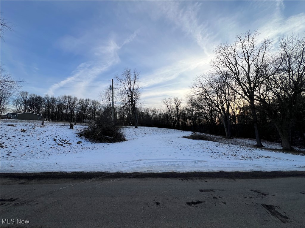 66-UNION TWP EAST MUSK SD - Land