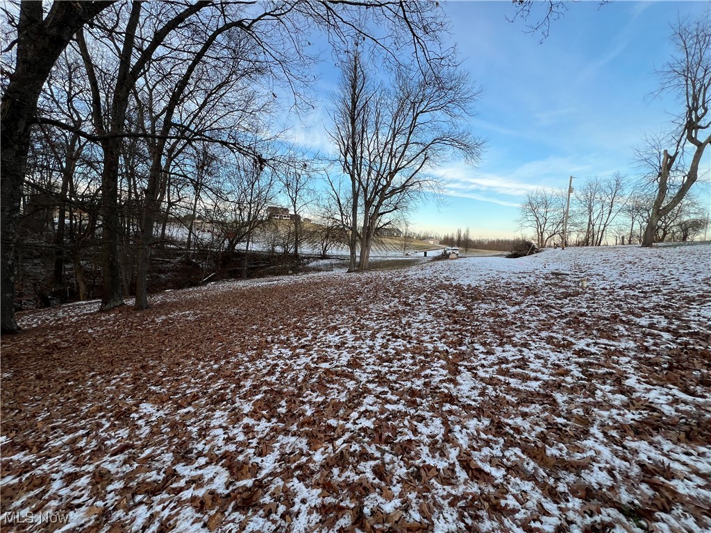 66-UNION TWP EAST MUSK SD - Land