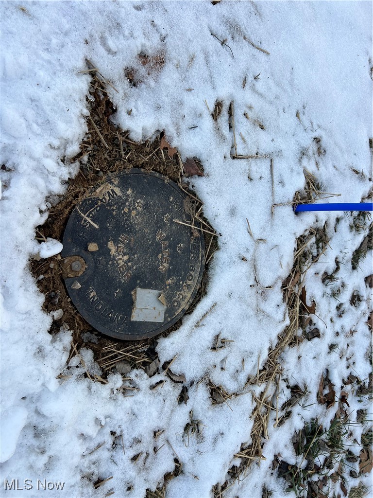 66-UNION TWP EAST MUSK SD - Land