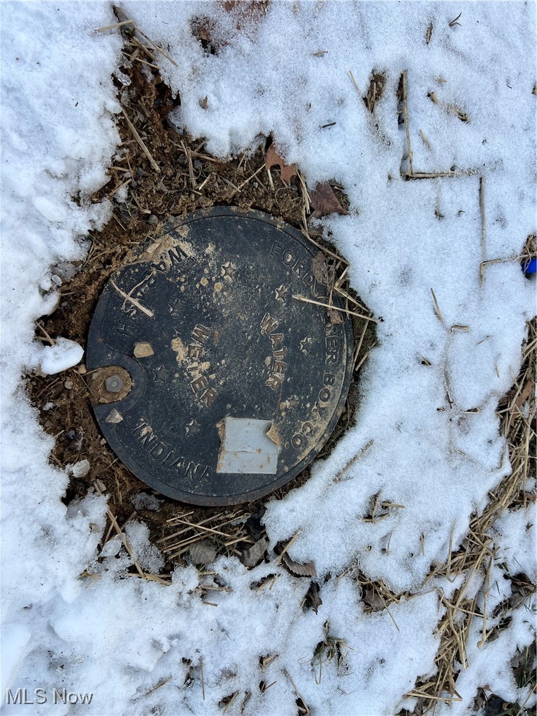 66-UNION TWP EAST MUSK SD - Land