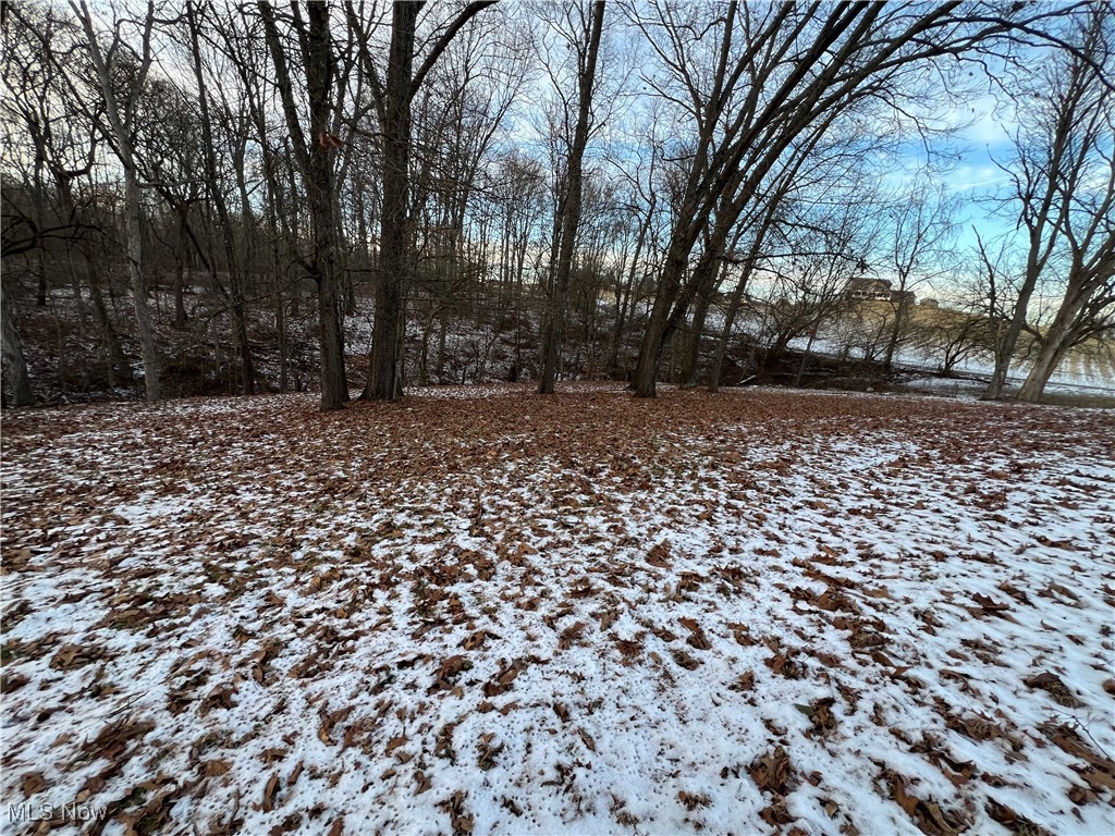 66-UNION TWP EAST MUSK SD - Land