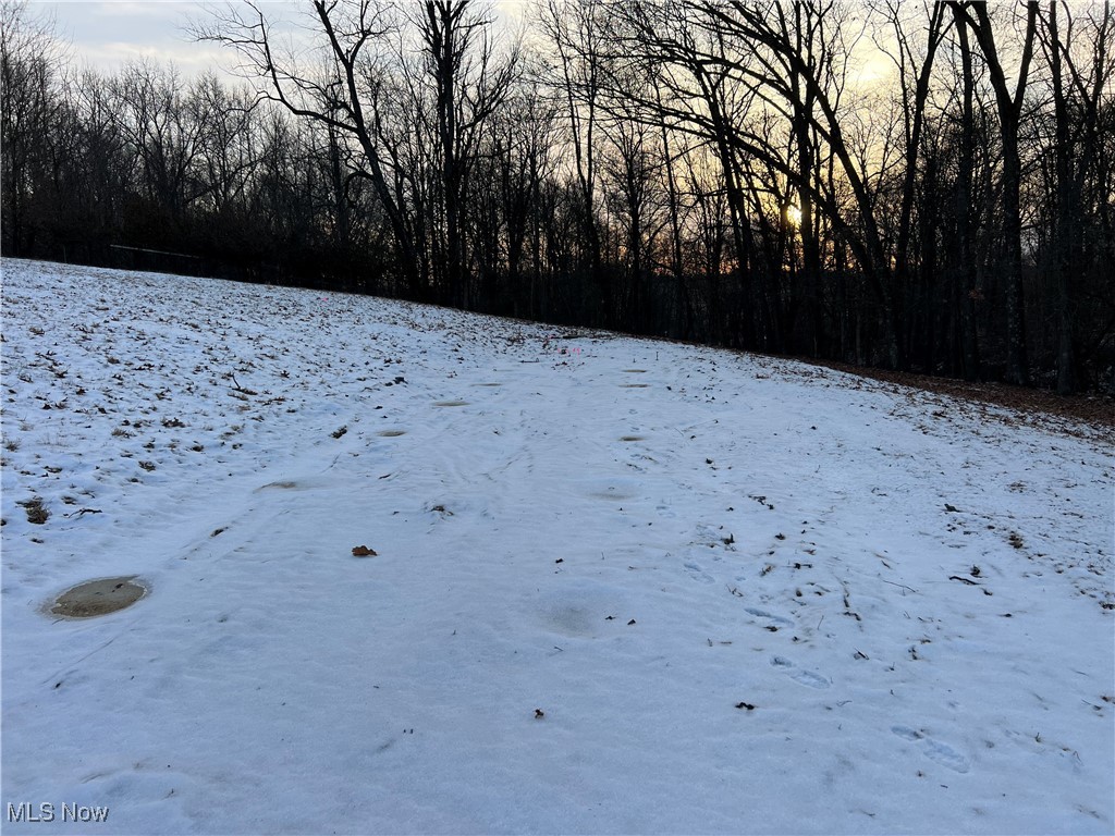 66-UNION TWP EAST MUSK SD - Land