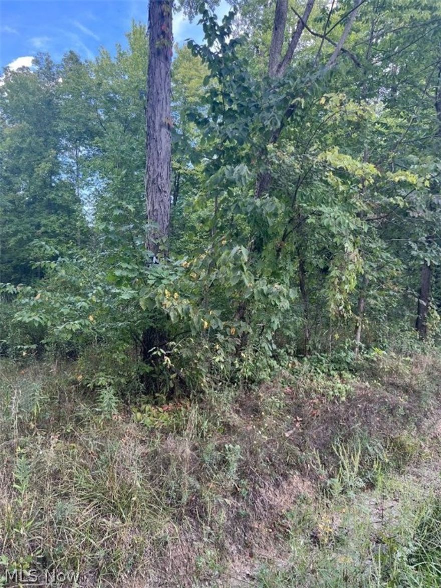 Breathtaking piece of Property! Own your own 10 acres on a quiet, peaceful country road. Lots of trees here and ready for you to hunt on, use as recreation or plan your new build! Mineral Rights transfer. Property in process of being surveyed off a larger parcel and 330ft frontage x 1330ft back is good estimate but will be determined once surveyed. Would require a well and septic to build. 10 Acre lot to the West MLS # 4404799 also available. Schedule your visit today before its gone