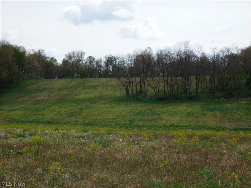 An exciting offering located in the heart of Ohio’s premier wildlife area. With the Whitetail herd having been carefully managed for the past 10 years the property offers open areas for food plots, bedding areas, and a good water source. The acreage is mostly wooded with about 10 acres of tillable ground that is organic. Smaller parcels would make excellent building sites.
Parcel 1: 3 acres w/689’ frontage on SR 206. Open tillable ground.
Parcel 2: 7.612 acres w/285’ frontage on SR 206. Open tillage ground.
Parcel 3: 29.13 acres w/60’ frontage on SR 206. Mostly wooded land.
Parcel 4: 96.7 acres w/60’ frontage on SR 206. Mostly wooded land with creek.
Parcels 2,3, and 4 share a common access driveway.
Land will be offered in parcels and in its entirety and will sell whichever way nets most for the sellers. Feel  free to walk property at your convenience. Call for map and brochure.
Terms: 10% nonrefundable down payment made day of auction, balance due at closing. No financing cont