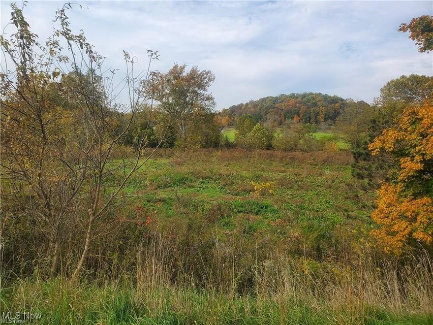 7.18 acres located 9 miles outside of New Concord.  This property has well, septic and updated electric.  Enjoying the rippling creek running along the property.  Situated on a paved road including an outbuilding and great building opportunities.