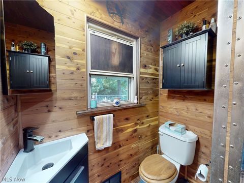 Tiny photo for 500 Pennock Street, Minerva, OH 44657 (MLS # 5221968)
