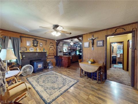 Tiny photo for 500 Pennock Street, Minerva, OH 44657 (MLS # 5221968)