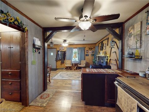 Tiny photo for 500 Pennock Street, Minerva, OH 44657 (MLS # 5221968)