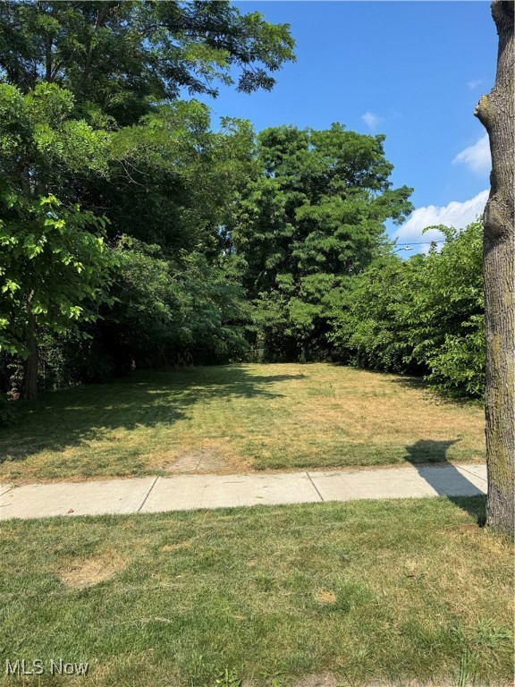 This prime Detroit-Shoreway location just off Franklin!! Great size corner lot. Close to everything. Gordon Square, Westside Market, Ohio City, and Tremont. Seller is hoping to find a responsible buyer, who is community- oriented and ideally local. As well, seller is an advocate for aging- in - place design, for which the city of Cleveland is offering a big incentive in a 100% tax abatement for 15 years if simple and thoughtful requirements are met.