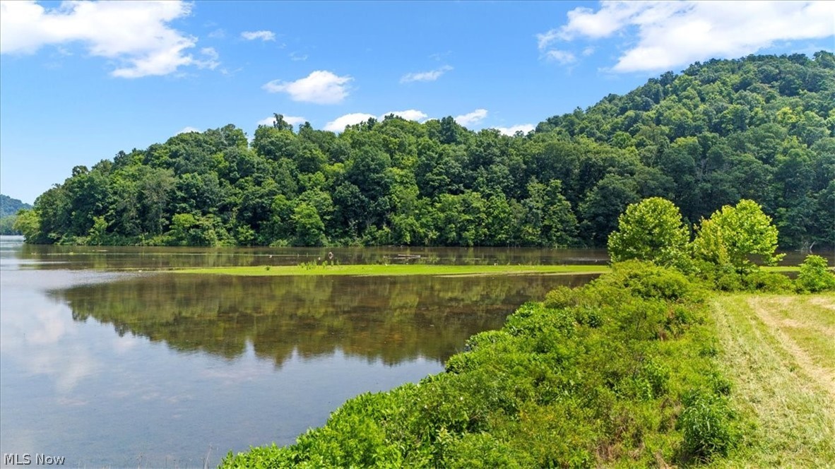 Henry Camp Road, Saint Marys, West Virginia image 9