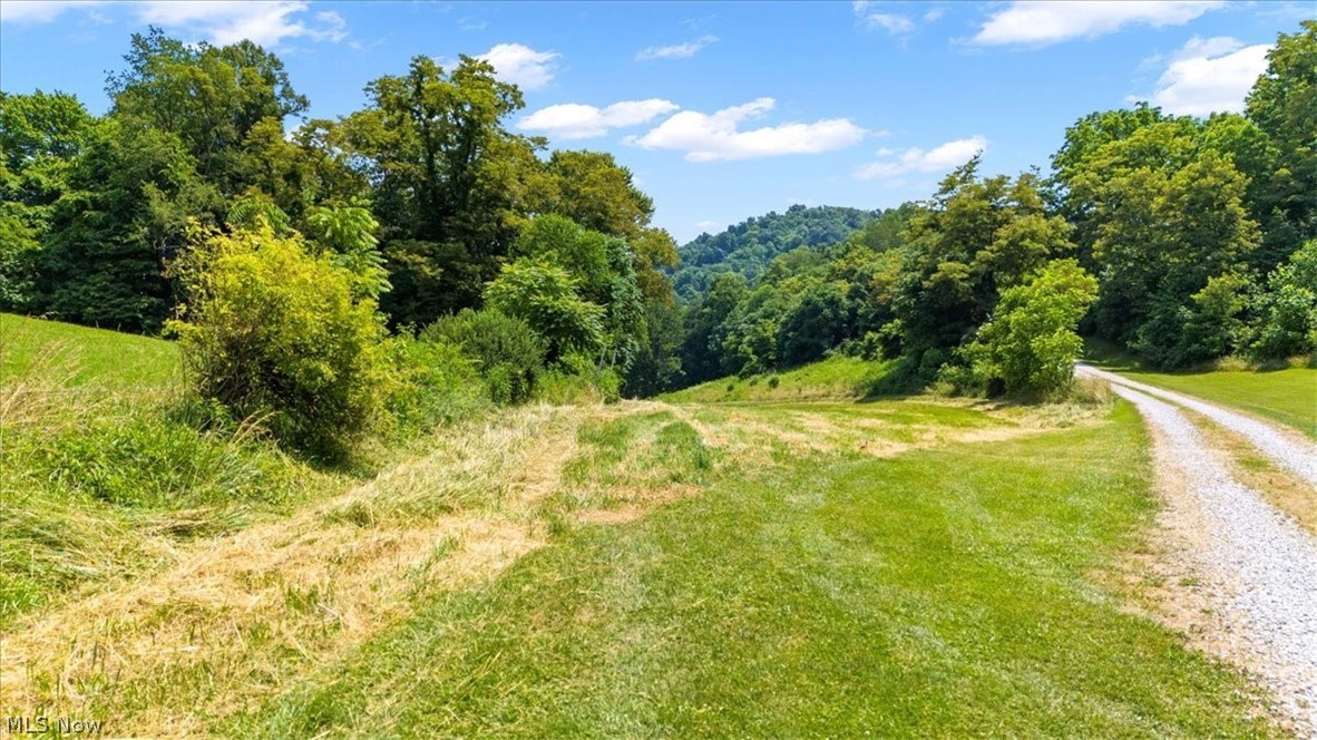 Henry Camp Road, Saint Marys, West Virginia image 1