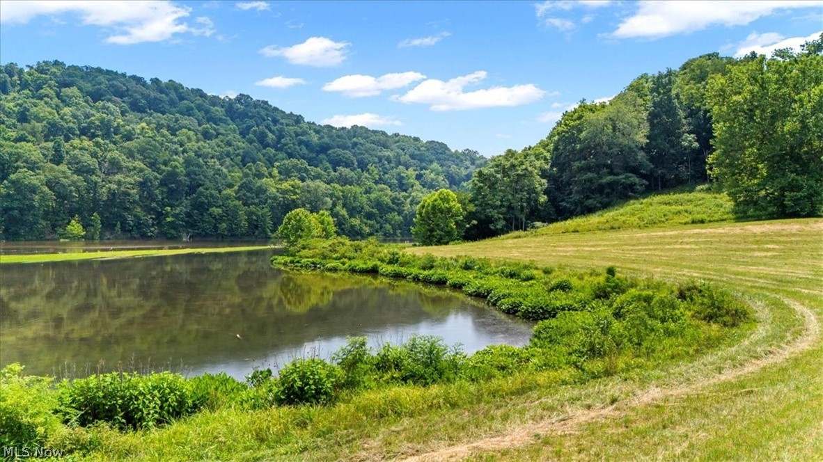 Henry Camp Road, Saint Marys, West Virginia image 8