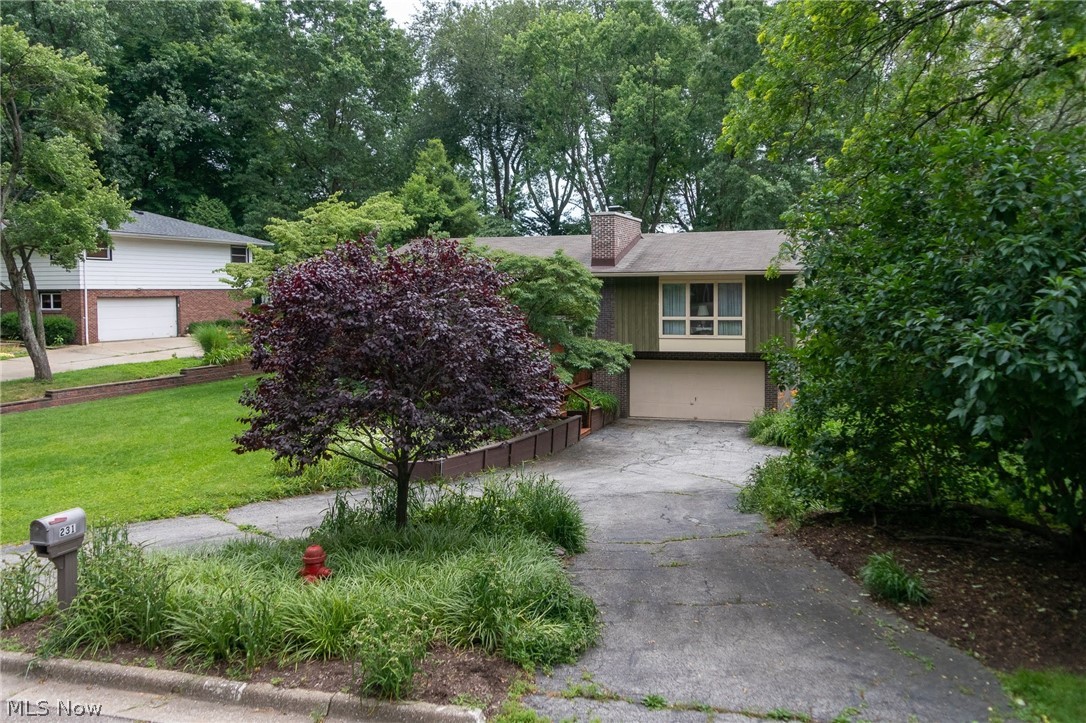 Lewis Allotment - Residential