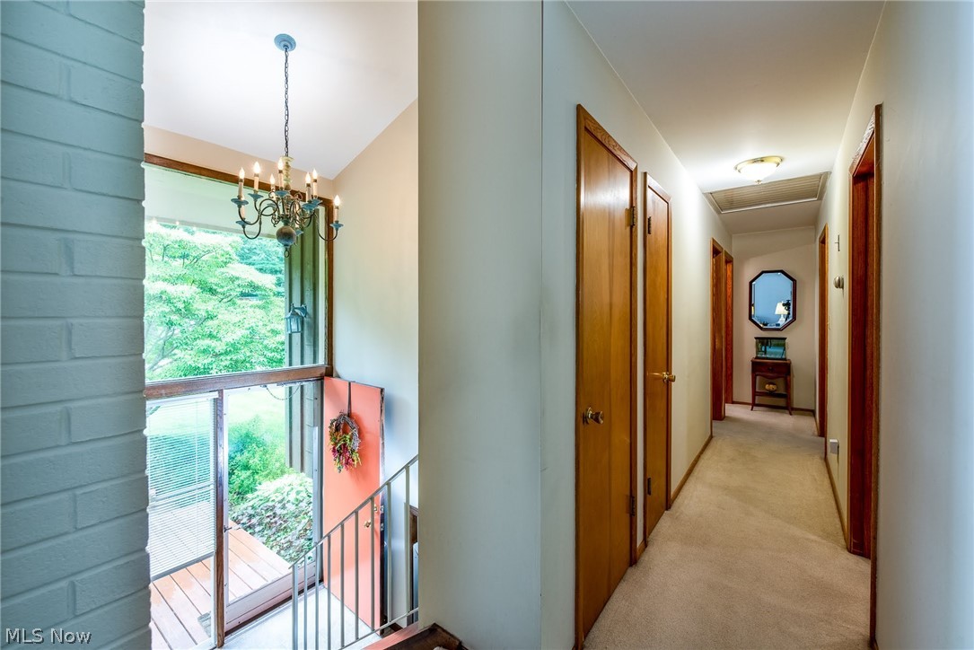 Lewis Allotment - Residential