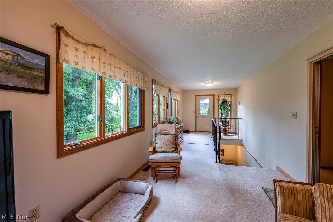 Lewis Allotment - Residential