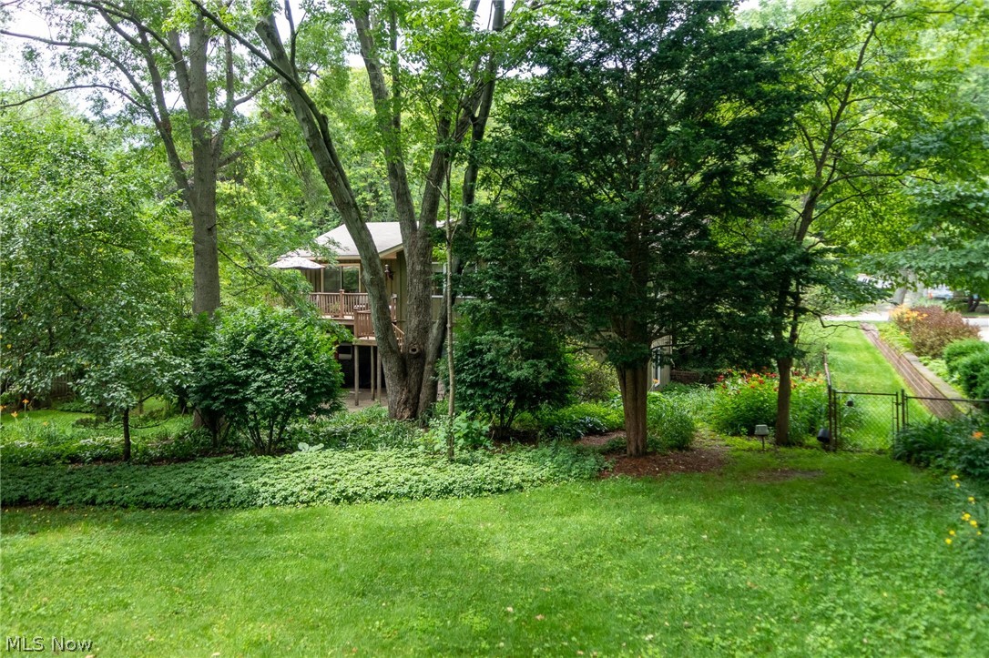 Lewis Allotment - Residential