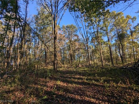 Forbes Road Wellsville OH 43968