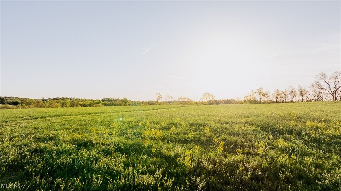 Stucky Valley Road, Stone Creek, Ohio image 6