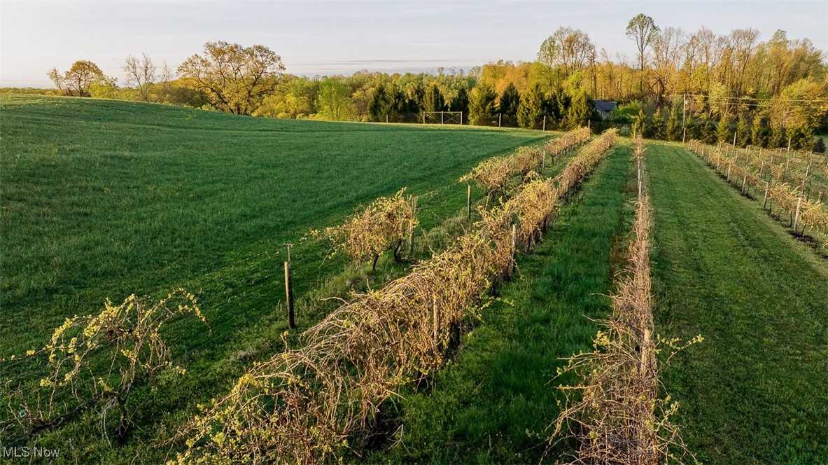 Stucky Valley Road, Stone Creek, Ohio image 8