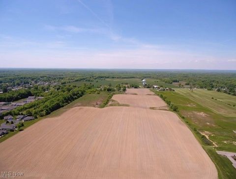 Mahoning Avenue Champion OH 44483