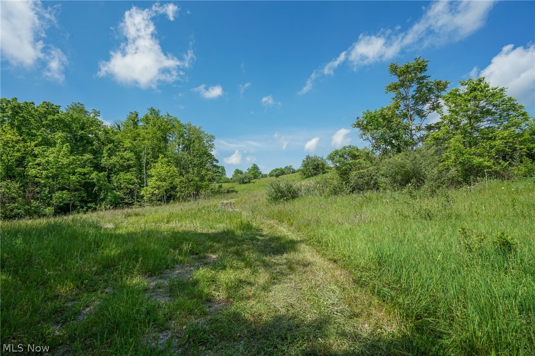 48335 Cadiz-harrisville Rd Rd, Cadiz, Ohio image 46