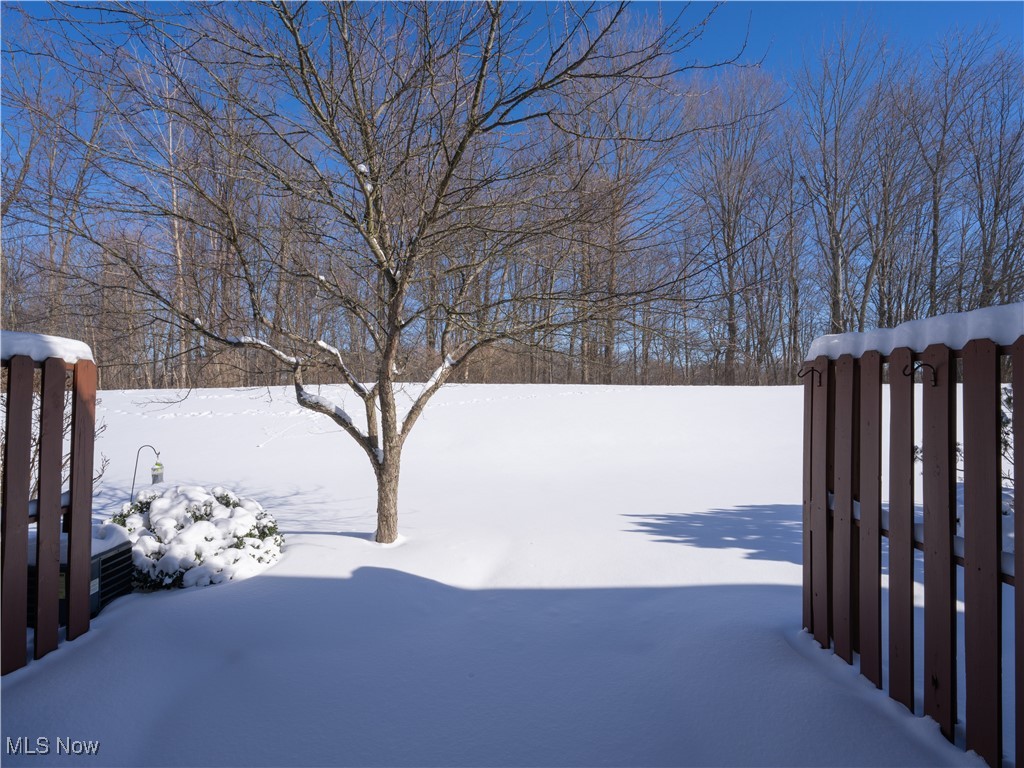 Hickory Rdg Clstr Dev - Residential