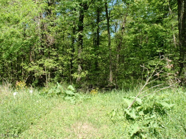 14203 Darrow Road, Vermilion, Ohio image 25