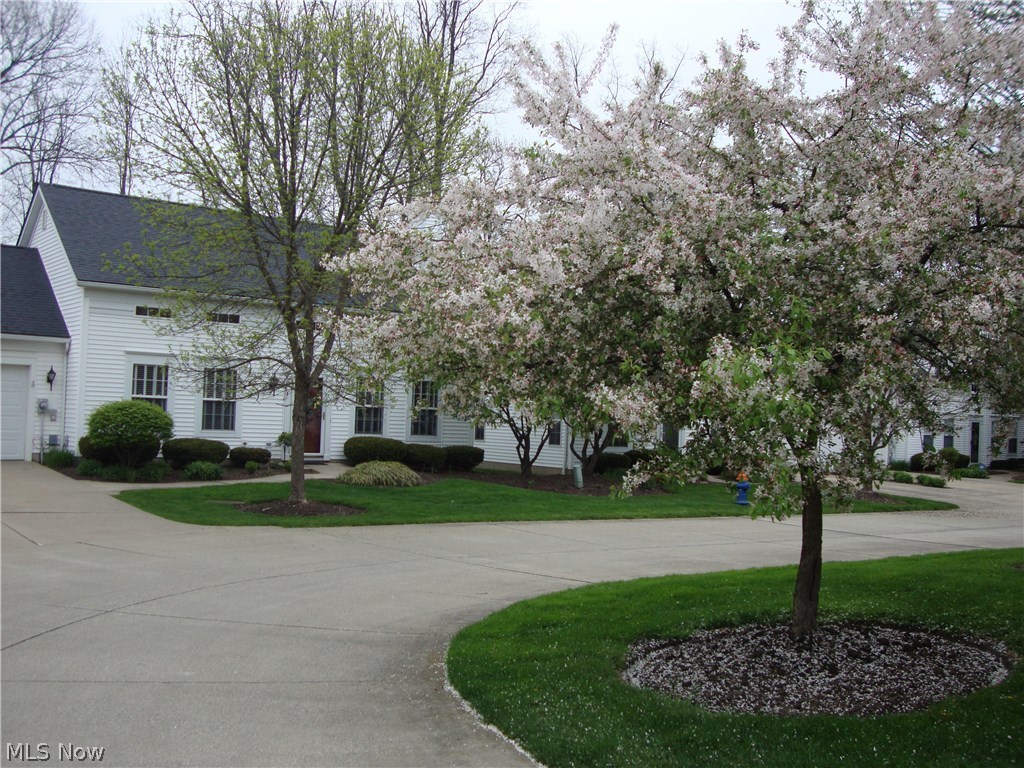 Burton Lane - Residential