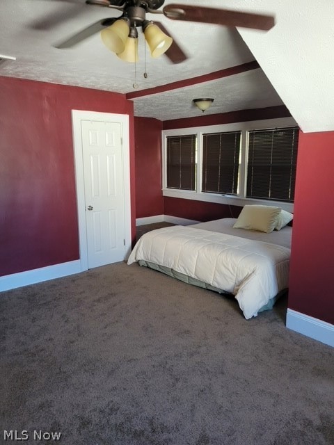 Taylor Park Allotment - Residential