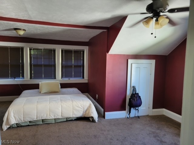 Taylor Park Allotment - Residential