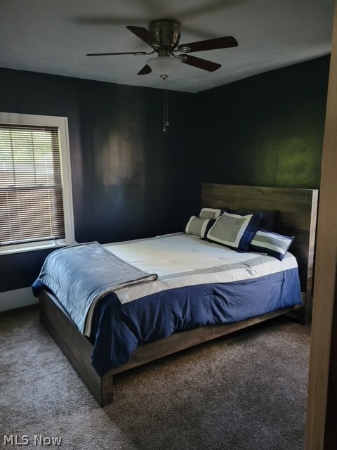 Taylor Park Allotment - Residential