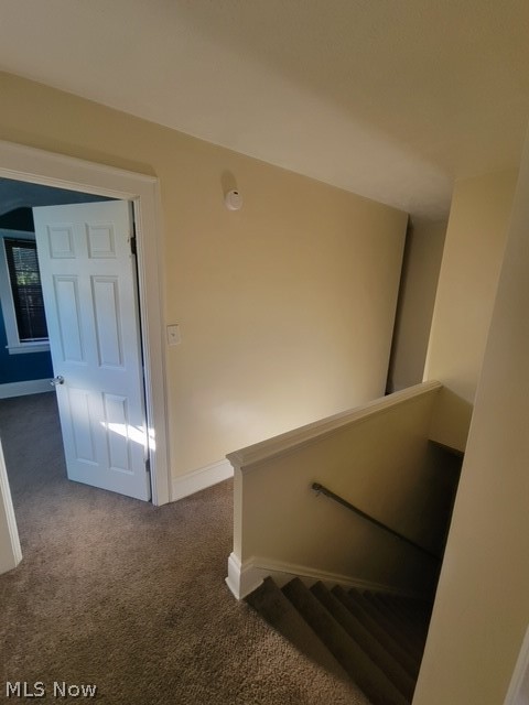 Taylor Park Allotment - Residential