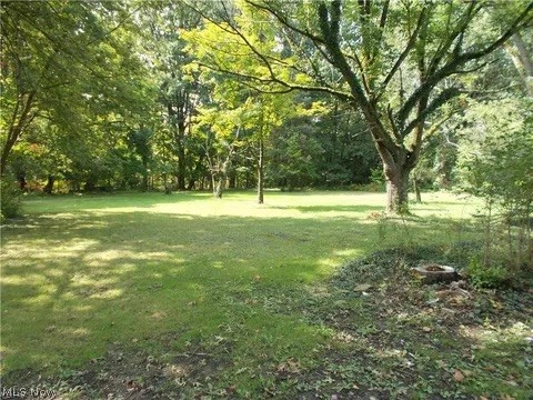 Taylor Park Allotment - Residential
