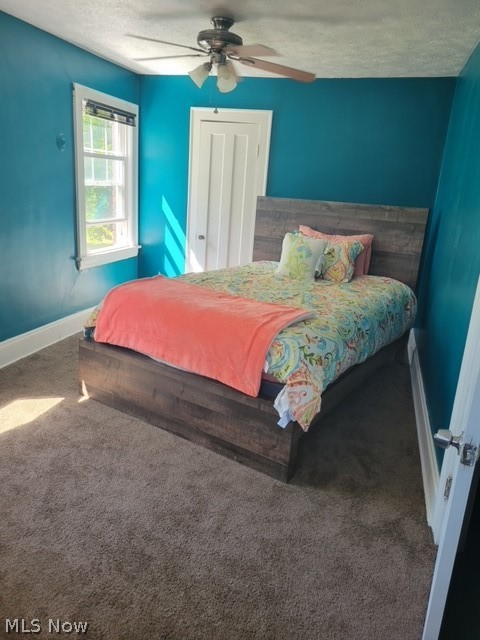 Taylor Park Allotment - Residential