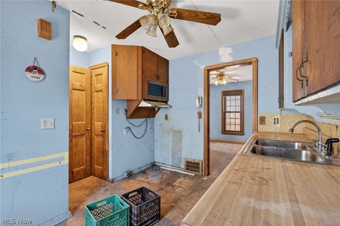 Tiny photo for 17110 Puritas Avenue, Cleveland, OH 44135 (MLS # 5216710)