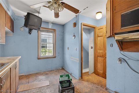Tiny photo for 17110 Puritas Avenue, Cleveland, OH 44135 (MLS # 5216710)