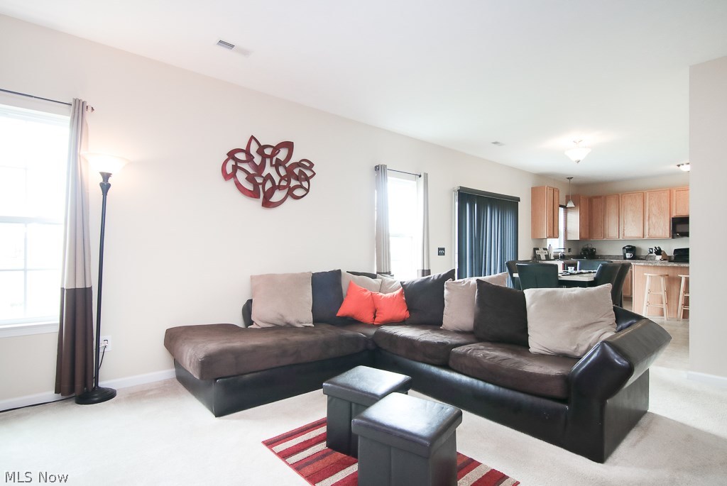 Meadow Lakes Sub - Residential