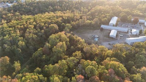 Vacant Land For Sale - 601 County Road 34<br/> Jefferson County, Wintersville, OH 43953