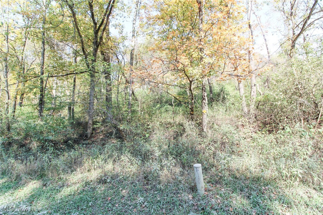 Lot 4 Brooks Road, Marietta, Ohio image 10