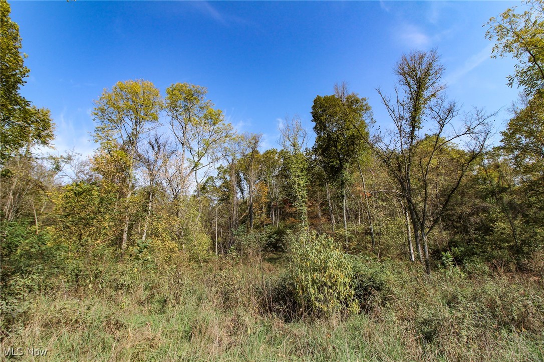 Lot 4 Brooks Road, Marietta, Ohio image 15